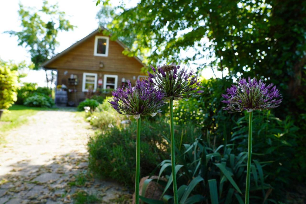 De Trouwerie Holiday home *